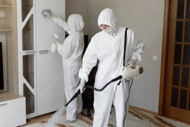 Best Residential Mold Removal  in Laurinburg, NC